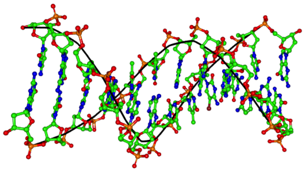 DNA barcodes for healthcare