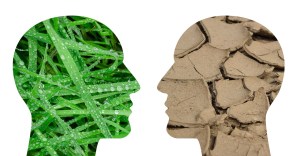 climate-change-2085527_1280