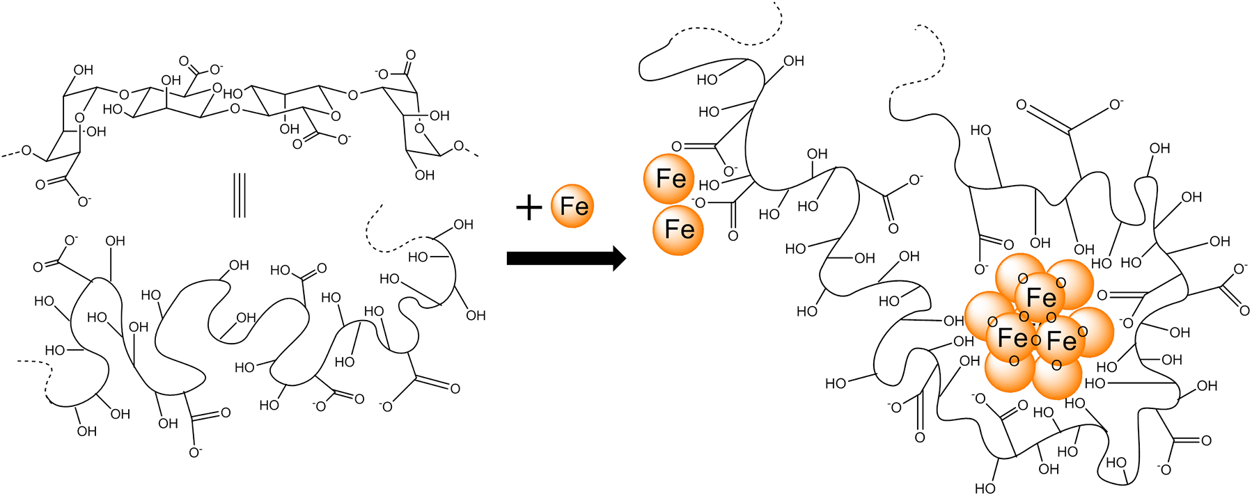 journal-pone-0138240-g006