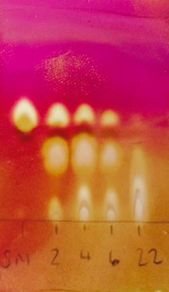 Silica TLC plate, stained with permanganate so it is purple/orange, with white spots showing the presence of compounds