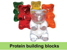 Gummy Bears