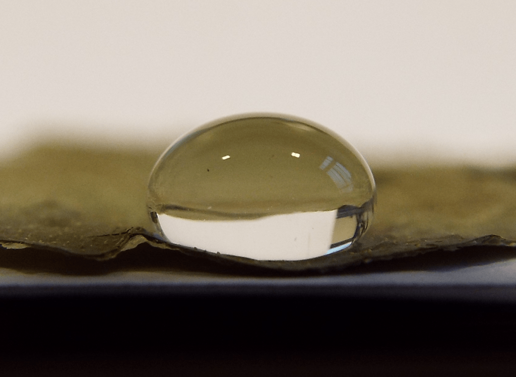 water droplet on a lotus leaf