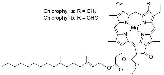 Structure of Chlorophyll a and b