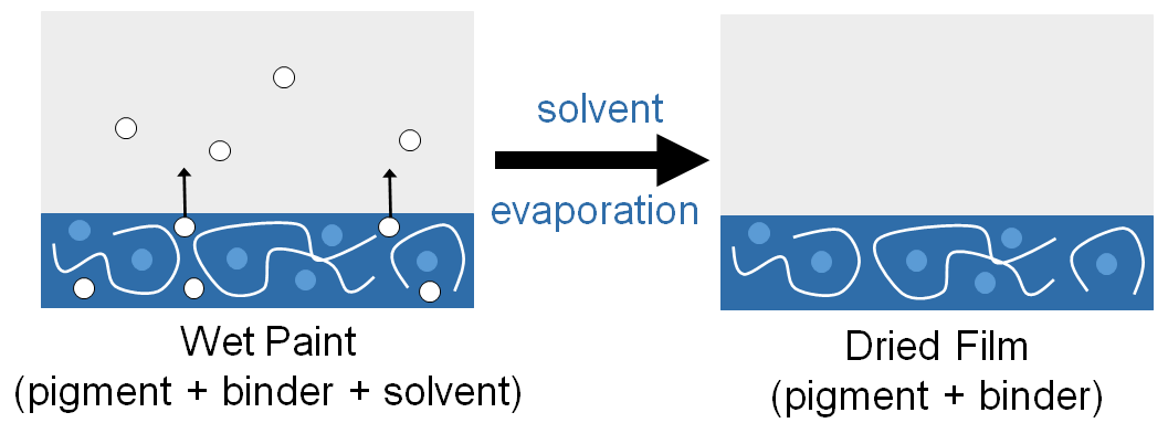Schematic showing the solvent evaporation process for film formation during paint drying