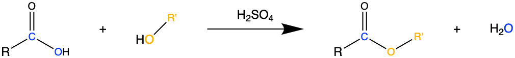 Mechanism showing that carboxylic acids react with alcohols to form esters and water. The carbonyl group on the ester originates from the carbonyl group on the carboxylic acid and the O-R' group on the ester originates from the alcohol.