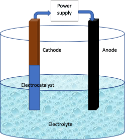 Electrochemical cell showing cathode, anode and electrocatalyst