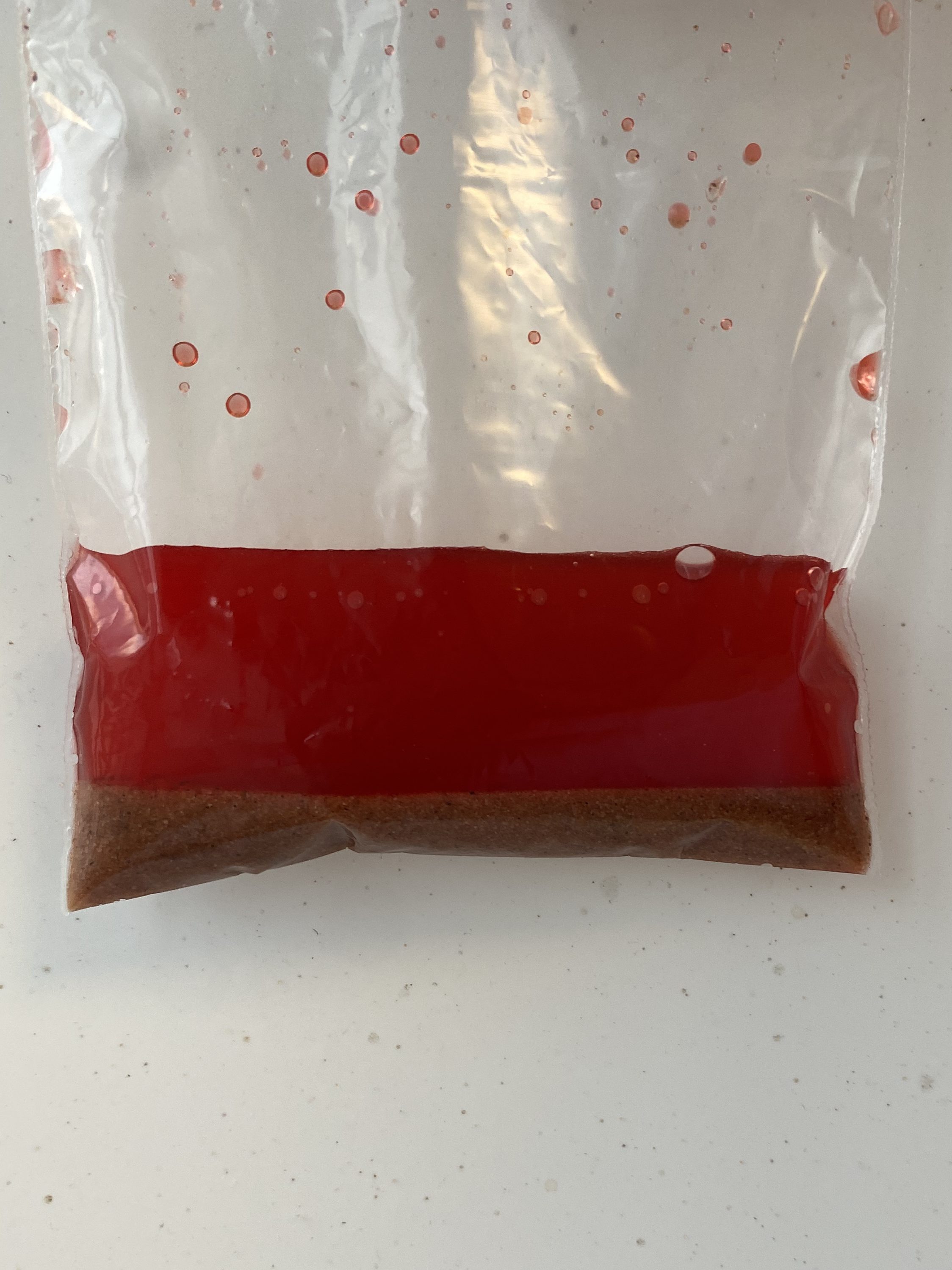 The image shows the small plastic bag after dyed water has been added to the rock salt/ sand mixture solution. The sand remains undissolved in a layer at the bottom of the bag, with a layer of salt water above it. 